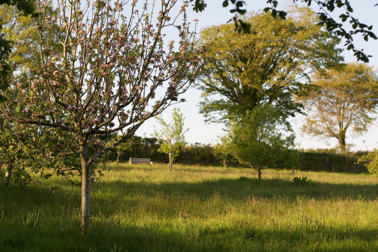 Bed and Breakfast Holwell Holistic Retreat Barnstaple Exteriér fotografie