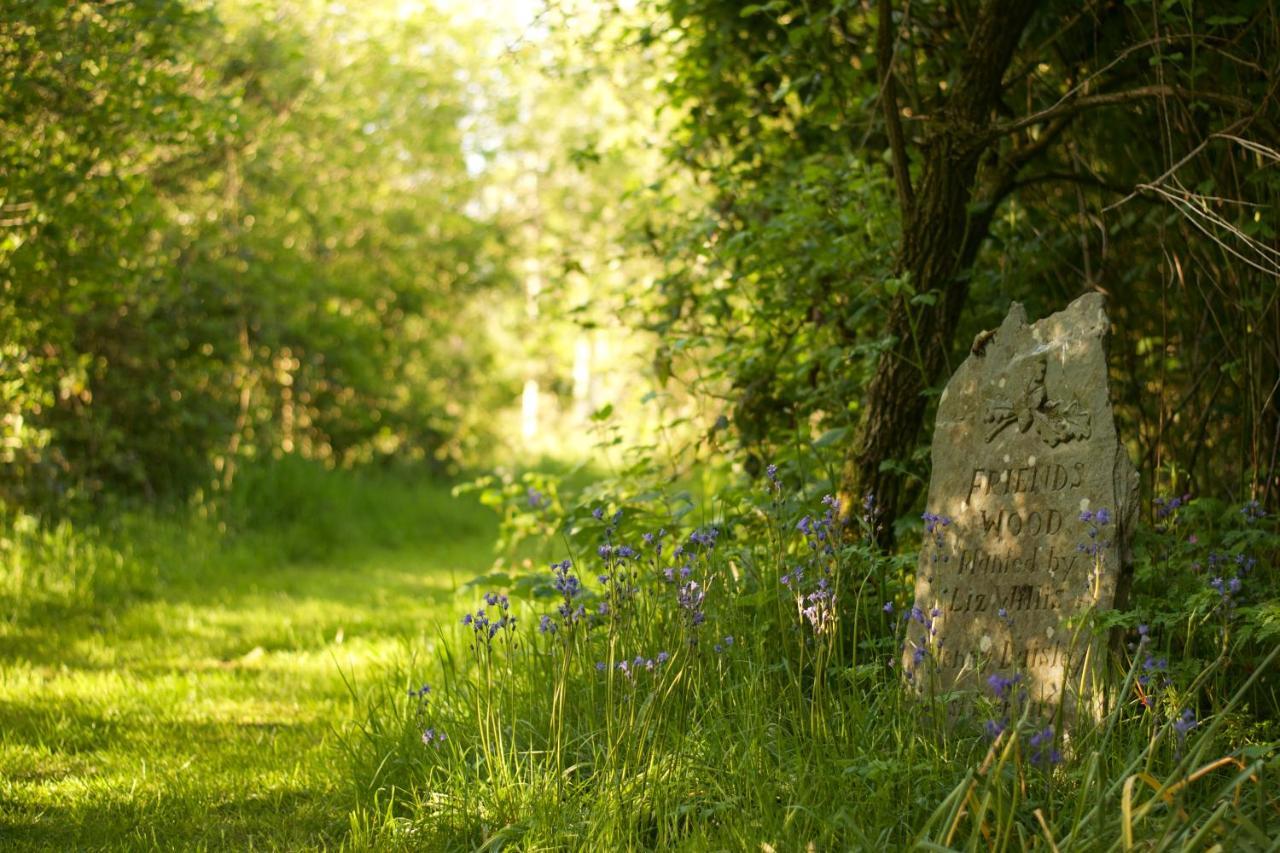 Bed and Breakfast Holwell Holistic Retreat Barnstaple Exteriér fotografie